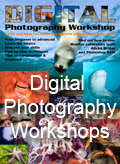 underwater photography course