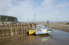 Alma Bay of Fundy lobster boats