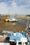 Alma Bay of Fundy lobster fishing boats