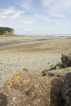 Alma Bay of Fundy beach