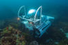 Ocean Pearl Submarine