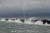 Ogden Point Breakwater Lighthouse