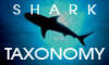 Shark Taxonomy Button