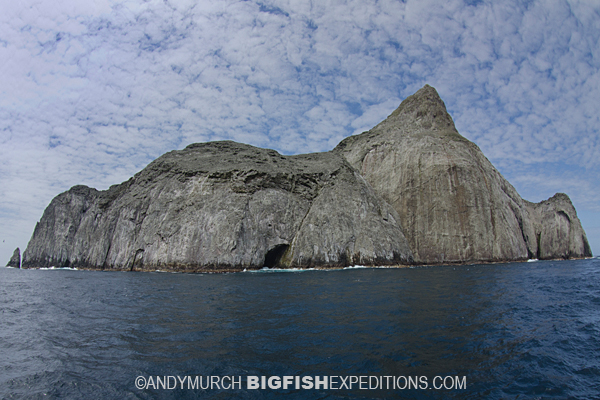 Malpelo Island