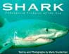 Shark endangered predator of the seas book