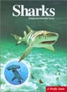 Sharks book