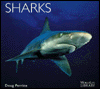 sharks book