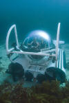 Ocean Pearl Submarine picture