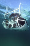 Ocean Pearl Submarine