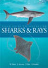 Field Guide to Australian Sharks and Rays Daley