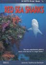 red sea sharks book