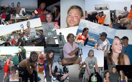 Sharkfest Collage