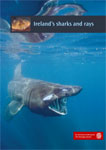 Sharks and Rays of Ireland 
