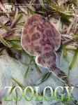 Andy Murch Journal of Zoology Cover