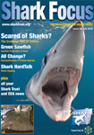 Andy Murch Shark Focus Magazine Cover