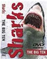 Sharks the big ten